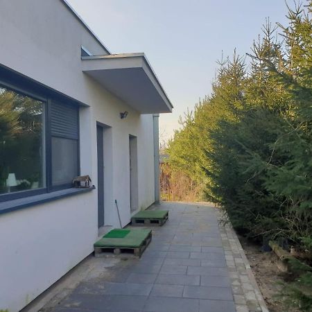 Maly Apartament W Zieleni Blisko Jeziora Sroda Wielkopolska Bagian luar foto