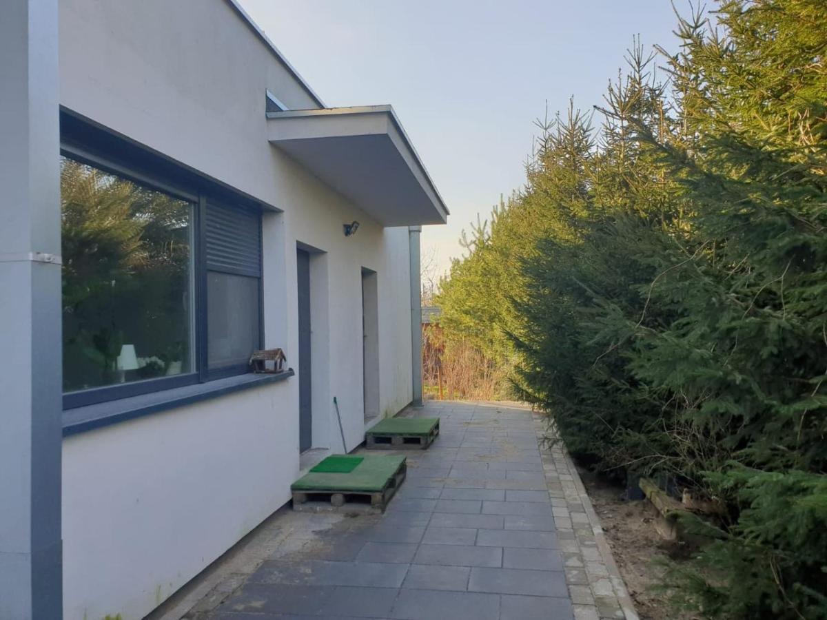 Maly Apartament W Zieleni Blisko Jeziora Sroda Wielkopolska Bagian luar foto